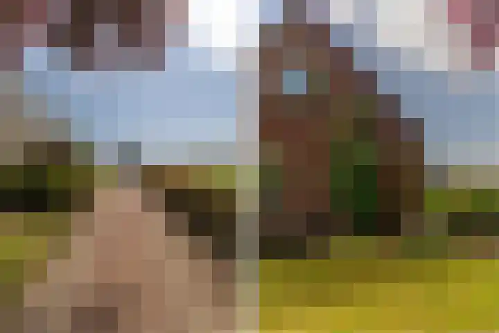 Hoofdweg 2 Kolham thumbnail 4