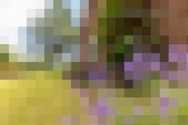 Hoofdweg 2 Kolham thumbnail 5