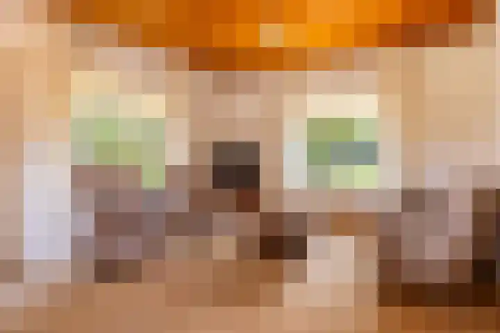 Hoofdweg 2 Kolham thumbnail 8