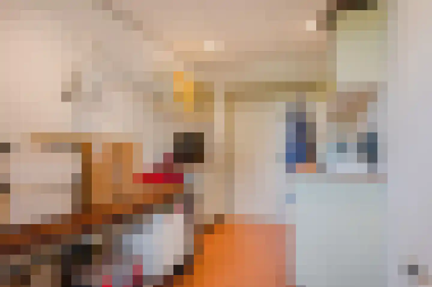 Hoofdweg 2 Slochteren thumbnail 43
