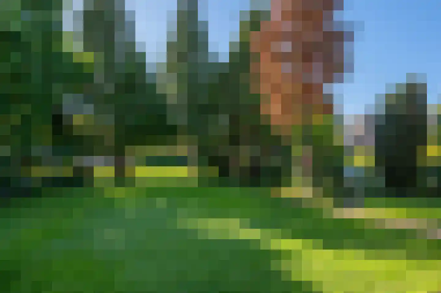 Hoofdweg 2 Slochteren thumbnail 64