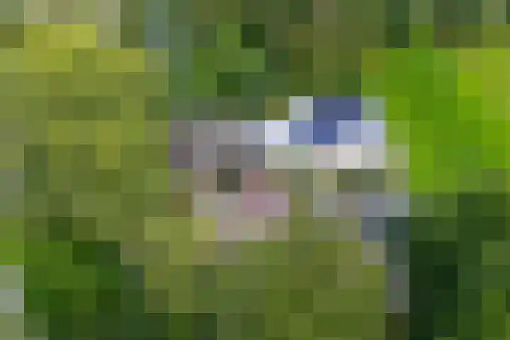 Hoofdweg 2 Westerhaar-Vriezenveensewijk thumbnail 5