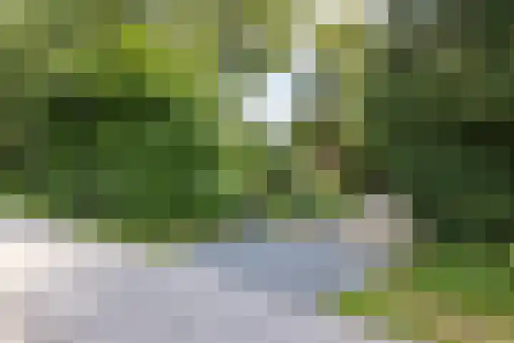 Hoofdweg 2 Westerhaar-Vriezenveensewijk thumbnail 6