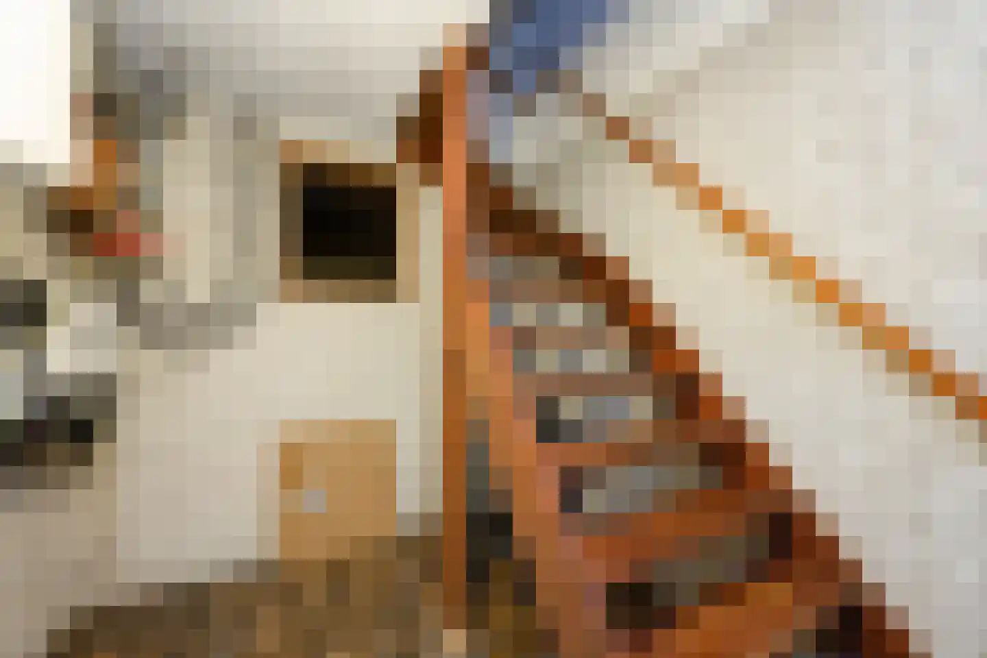 Hoofdweg 20 A Loenen thumbnail 27