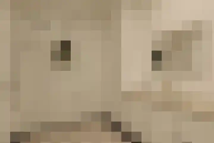 Hoofdweg 20 Amsterdam thumbnail 47
