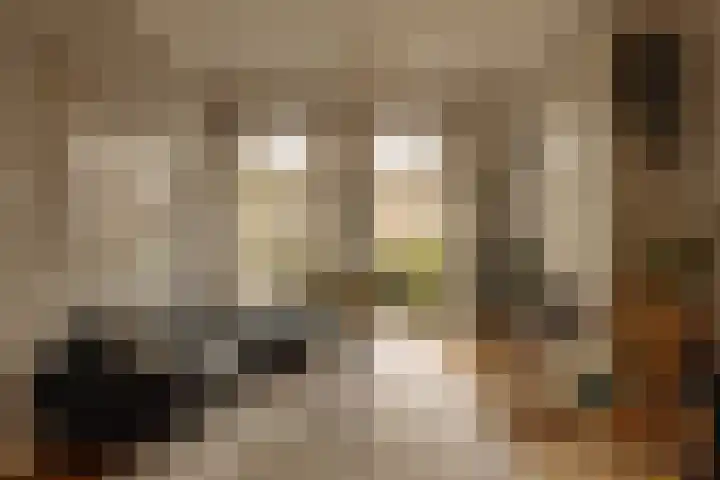Hoofdweg 20 Amsterdam thumbnail 6
