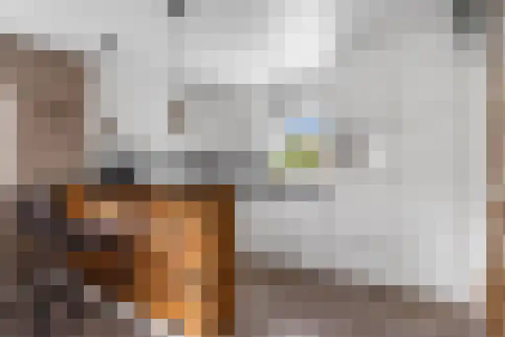Hoofdweg 20 Elsloo thumbnail 14