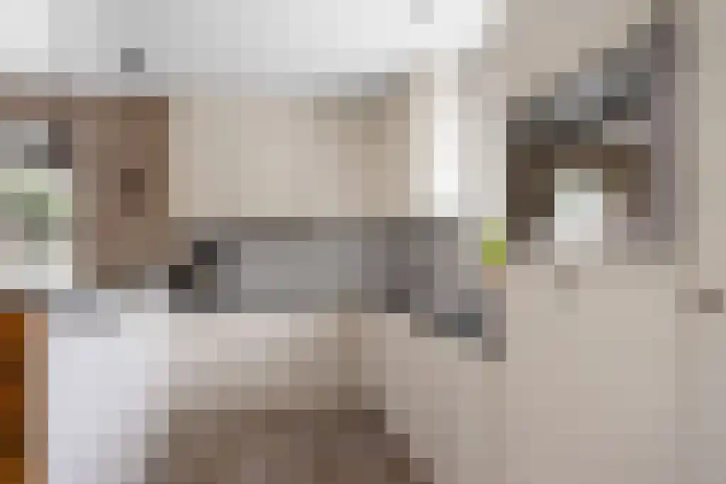 Hoofdweg 20 Elsloo thumbnail 17