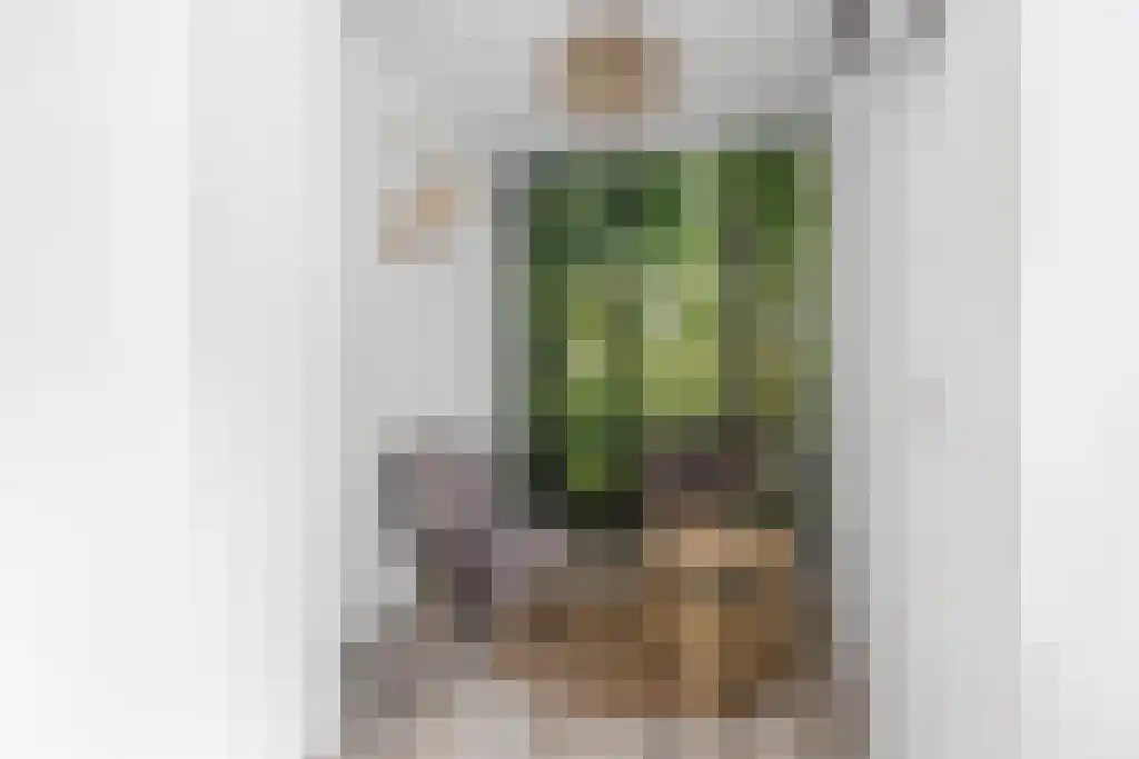 Hoofdweg 20 Elsloo thumbnail 19
