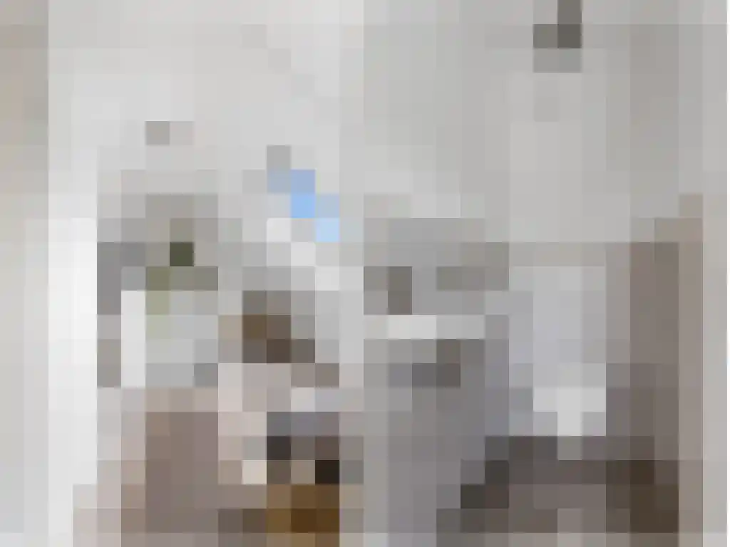 Hoofdweg 20 Elsloo thumbnail 30