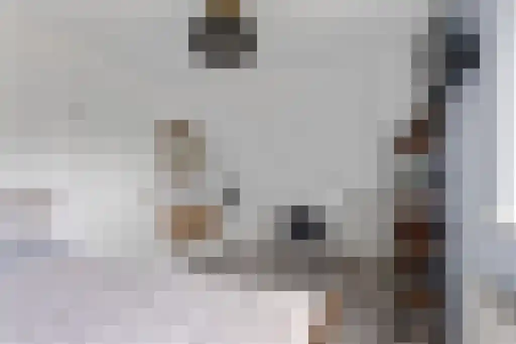 Hoofdweg 20 Elsloo thumbnail 32
