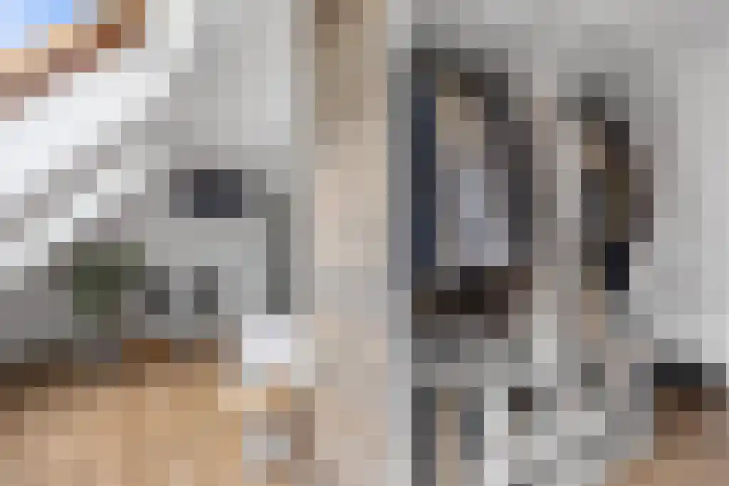 Hoofdweg 20 Elsloo thumbnail 34