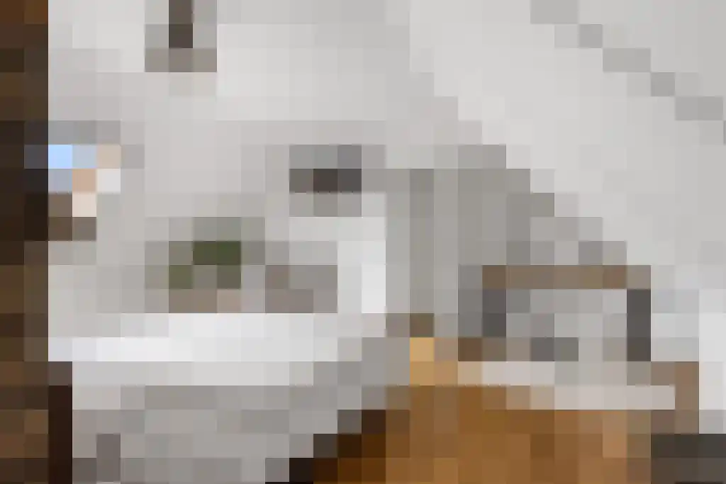 Hoofdweg 20 Elsloo thumbnail 35