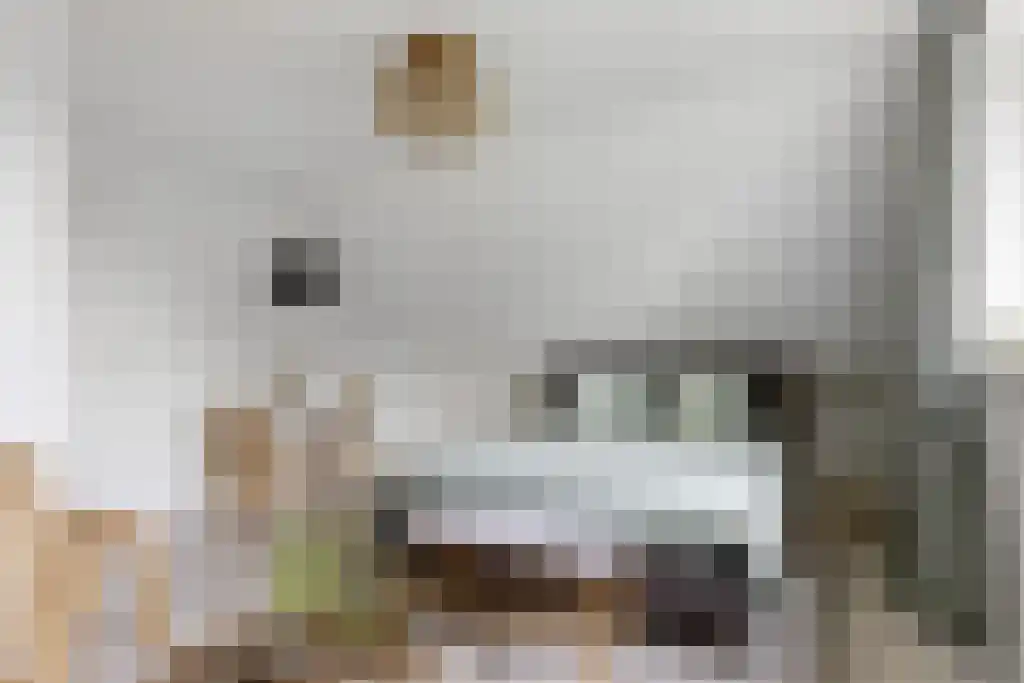 Hoofdweg 20 Elsloo thumbnail 37