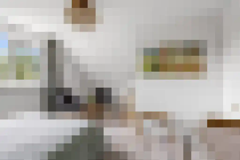 Hoofdweg 20 Elsloo thumbnail 38