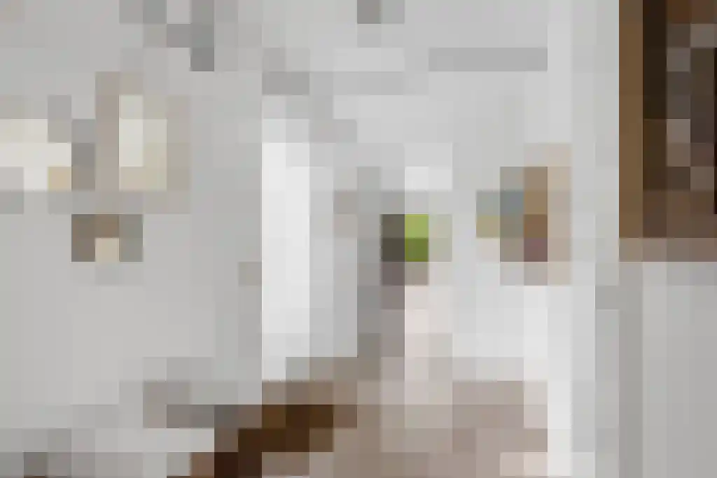 Hoofdweg 20 Elsloo thumbnail 4