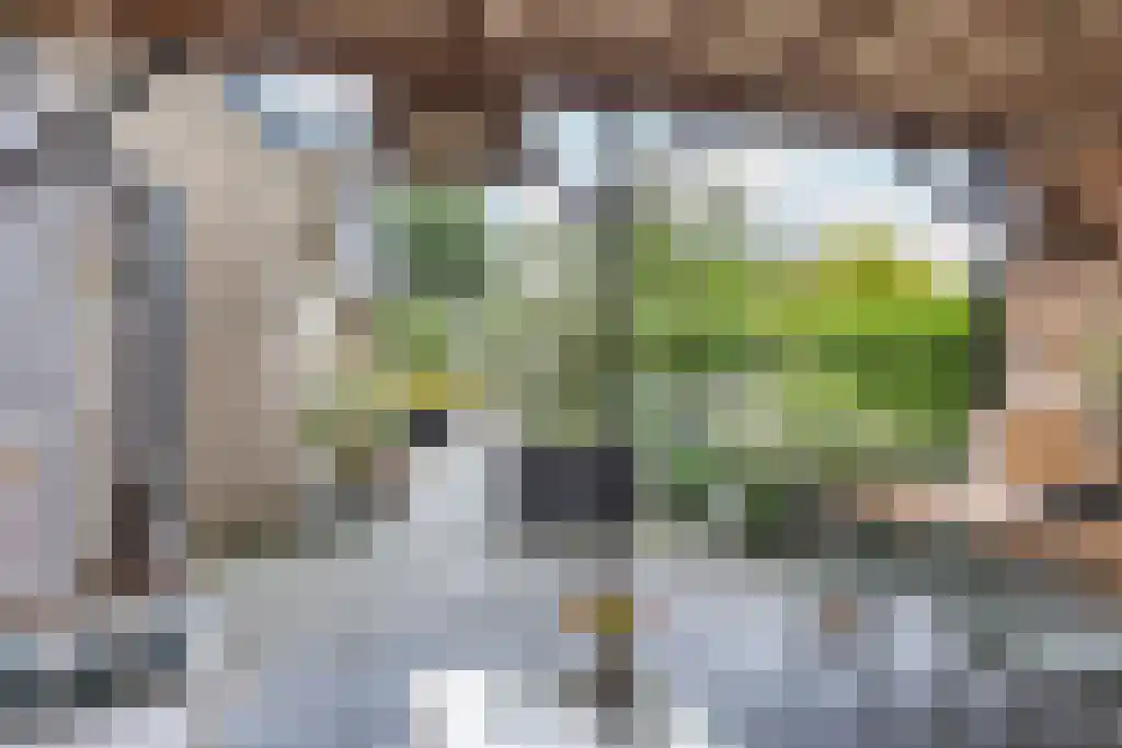 Hoofdweg 20 Elsloo thumbnail 43