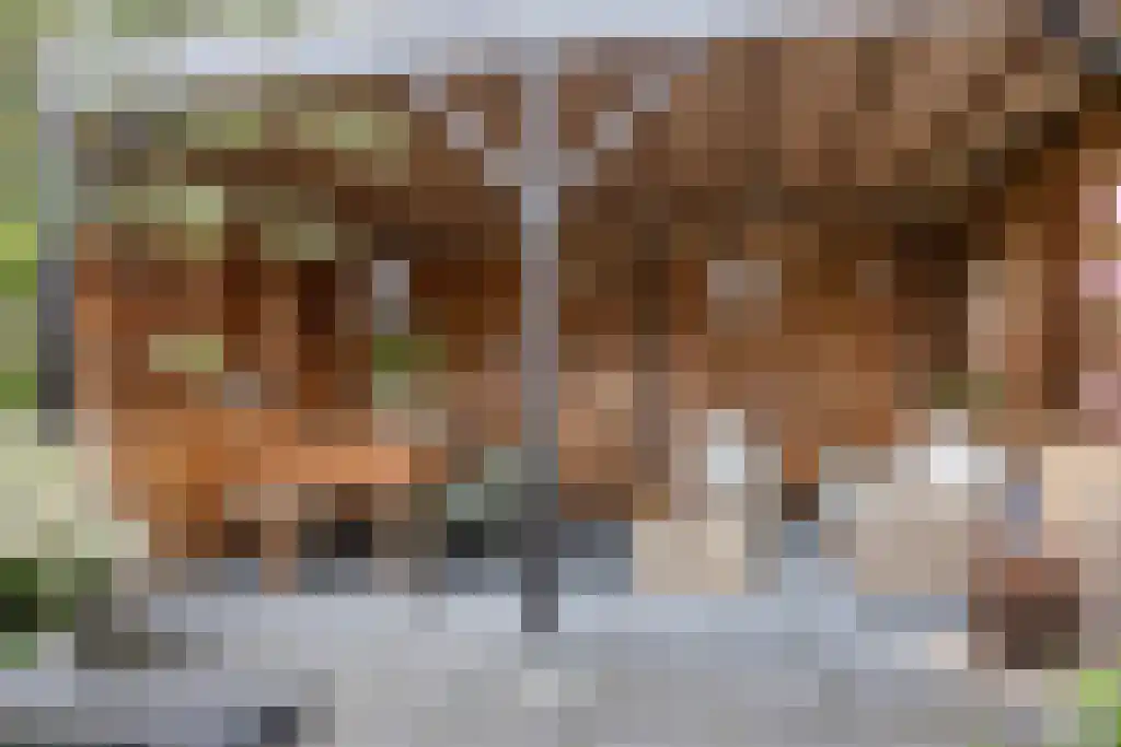 Hoofdweg 20 Elsloo thumbnail 44