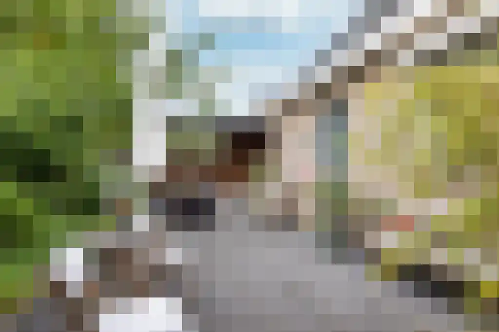 Hoofdweg 20 Elsloo thumbnail 48