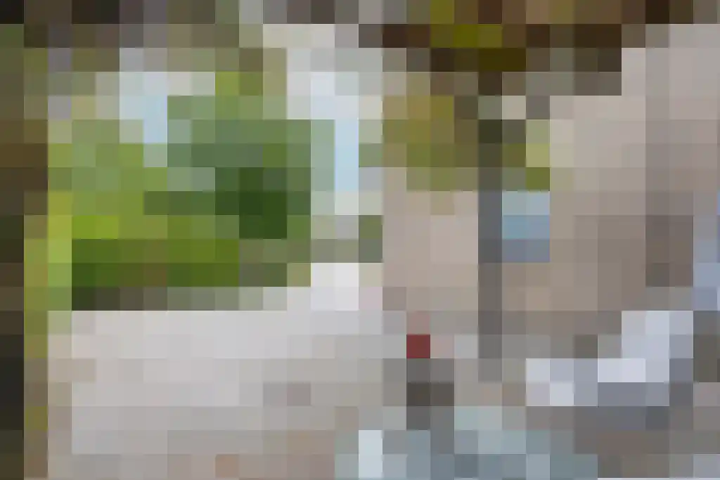 Hoofdweg 20 Elsloo thumbnail 65