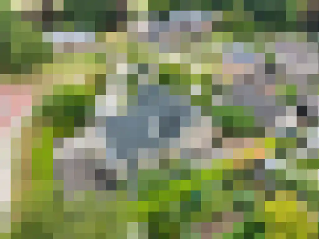 Hoofdweg 20 Elsloo thumbnail 67