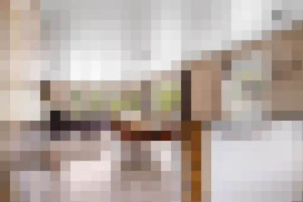 Hoofdweg 20 Elsloo thumbnail 7