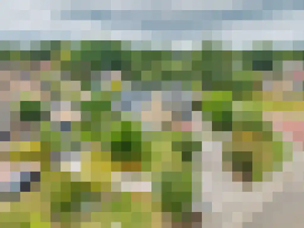 Hoofdweg 20 Elsloo thumbnail 70