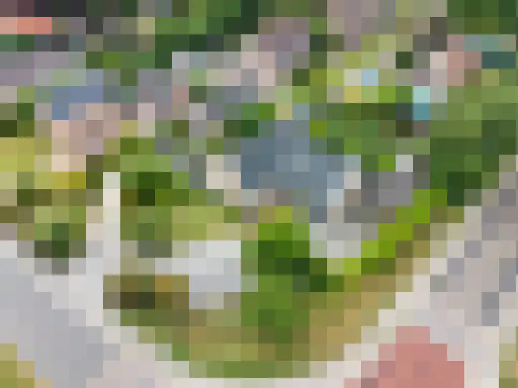 Hoofdweg 20 Elsloo thumbnail 72