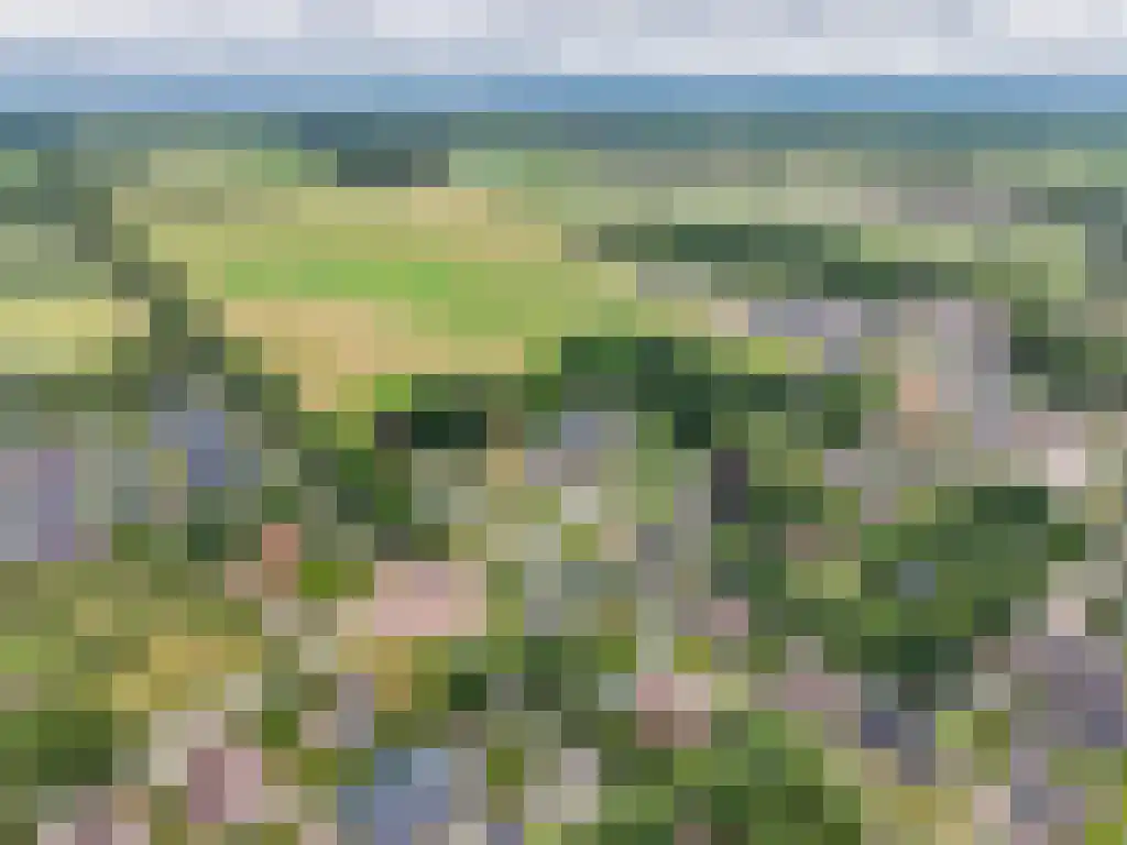 Hoofdweg 20 Elsloo thumbnail 75