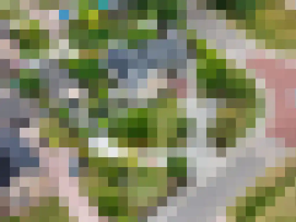 Hoofdweg 20 Elsloo thumbnail 80