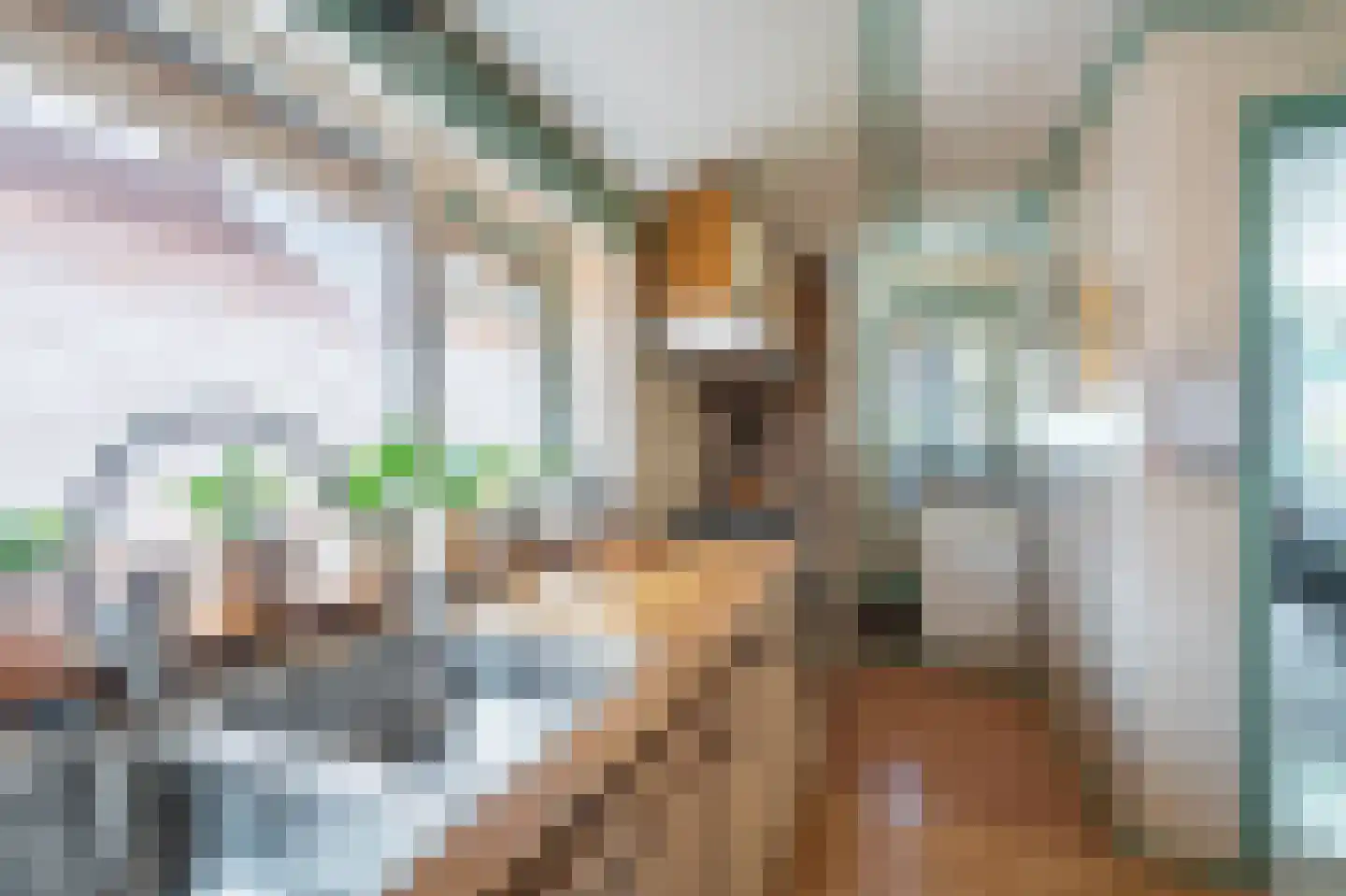 Hoofdweg 20 Midwolda thumbnail 10