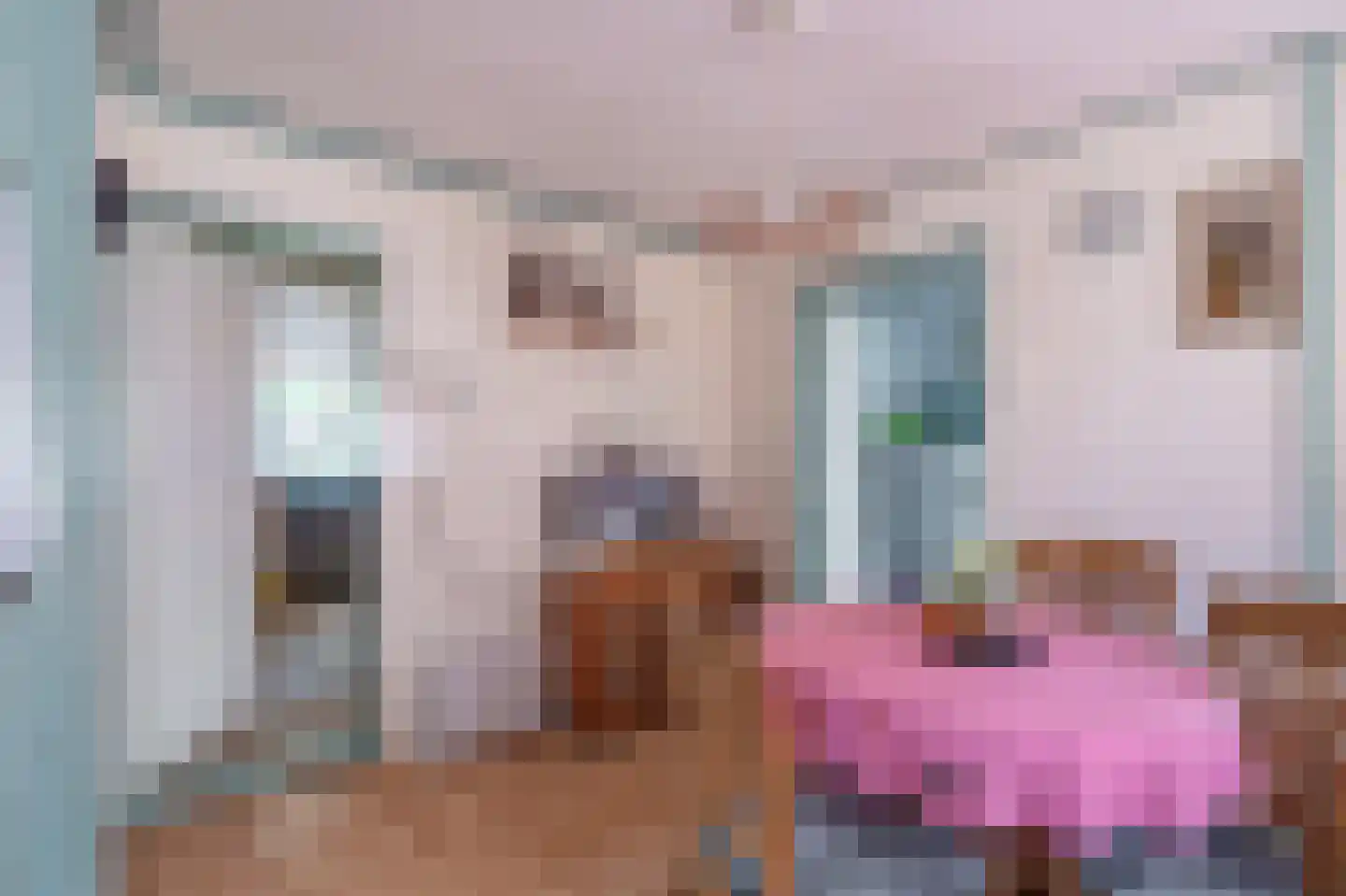 Hoofdweg 20 Midwolda thumbnail 13