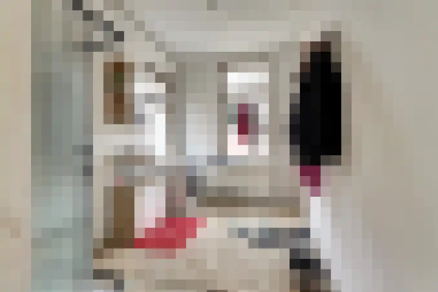 Hoofdweg 202 Midwolda thumbnail 15