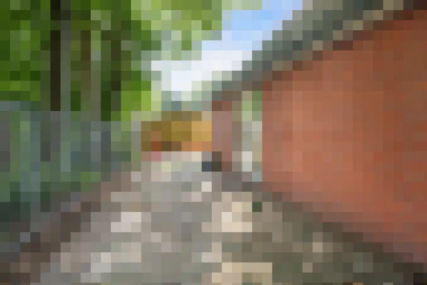 Hoofdweg 202 Slochteren thumbnail 21