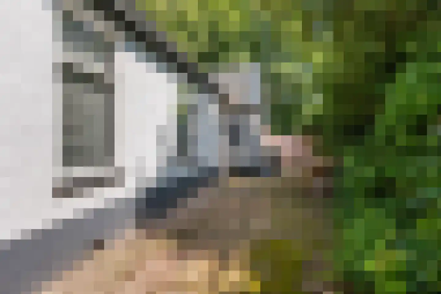 Hoofdweg 202 Slochteren thumbnail 23