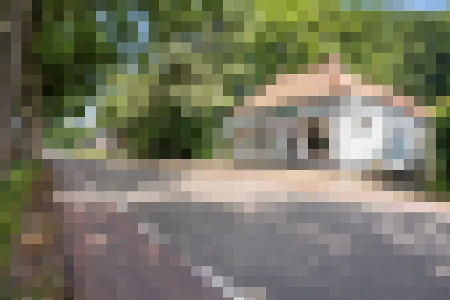 Hoofdweg 202 Slochteren thumbnail 39
