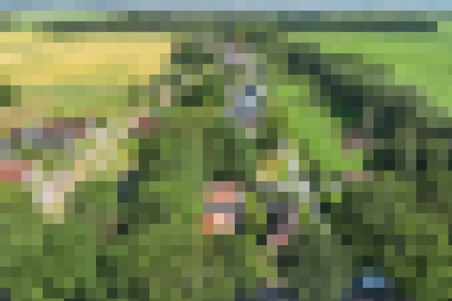 Hoofdweg 202 Slochteren thumbnail 42