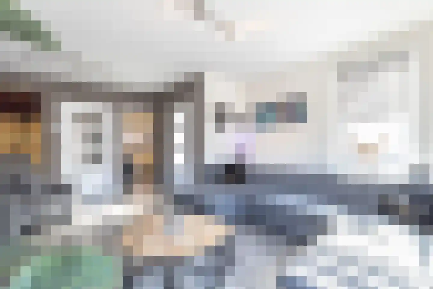 Hoofdweg 203 Westerlee thumbnail 11