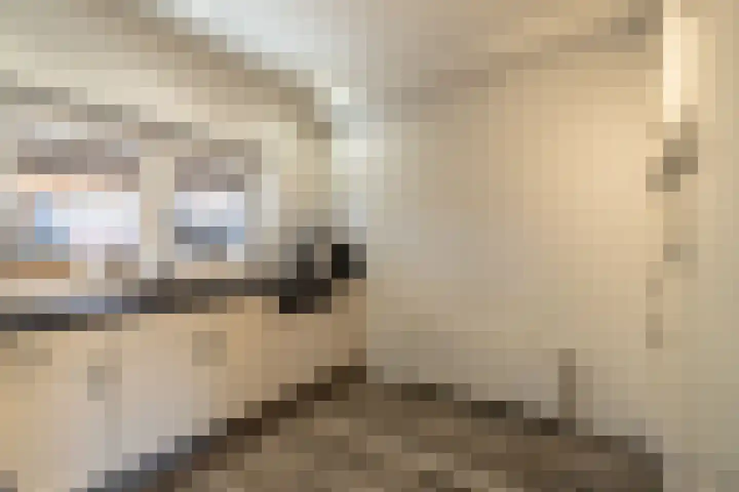 Hoofdweg 203 Westerlee thumbnail 16