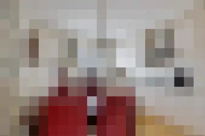Hoofdweg 204 a Paterswolde thumbnail 10