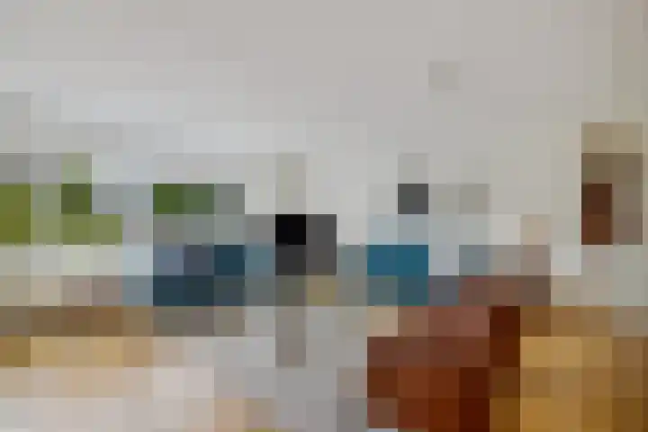 Hoofdweg 204 a Paterswolde thumbnail 16