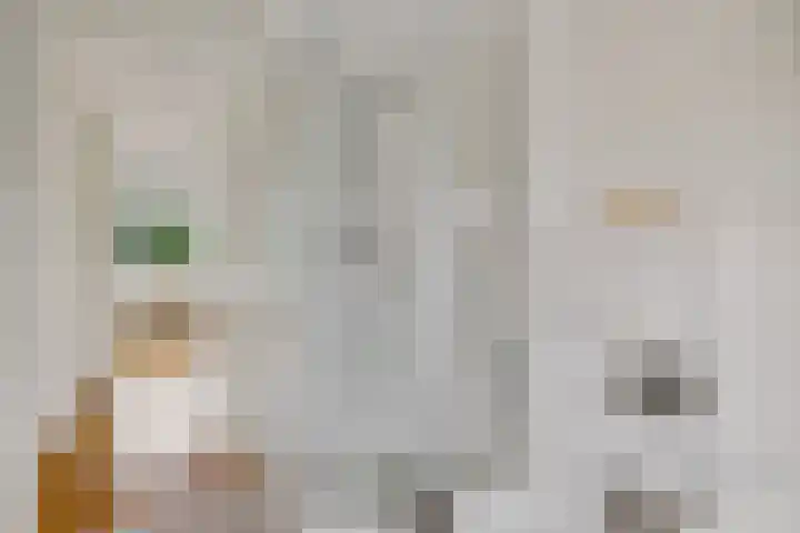 Hoofdweg 204 a Paterswolde thumbnail 22