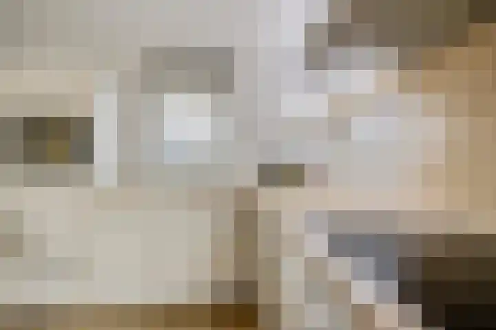 Hoofdweg 206 b Paterswolde thumbnail 10