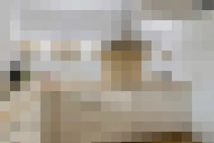 Hoofdweg 206 b Paterswolde thumbnail 11