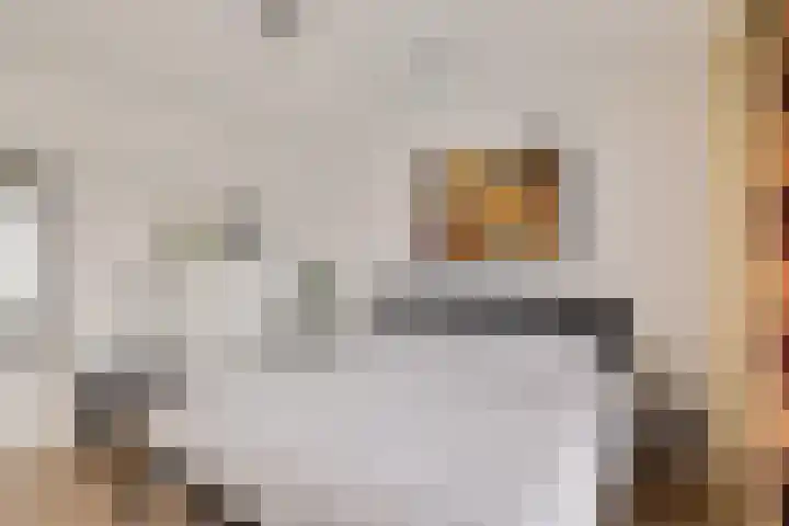 Hoofdweg 206 b Paterswolde thumbnail 27