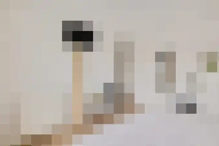 Hoofdweg 206 b Paterswolde thumbnail 31
