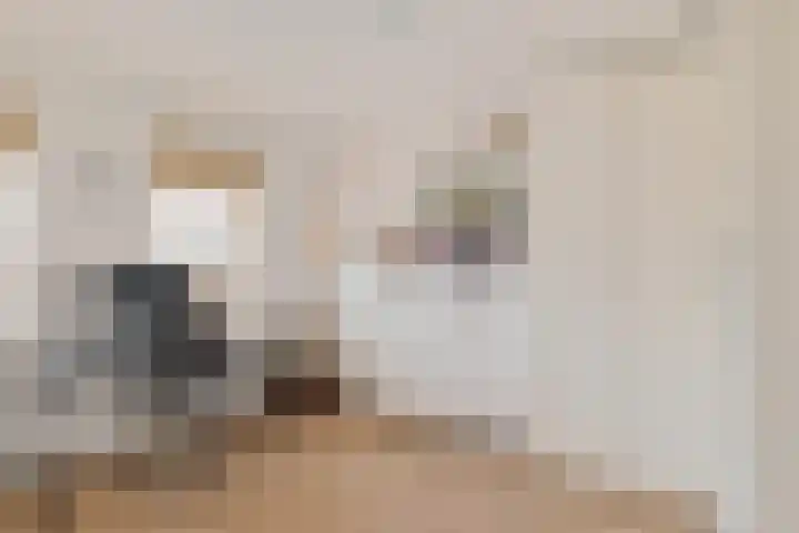 Hoofdweg 206 b Paterswolde thumbnail 38