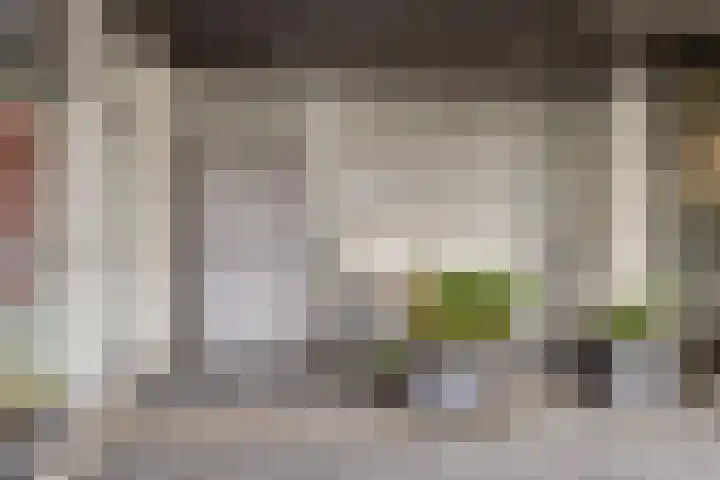 Hoofdweg 206 b Paterswolde thumbnail 4