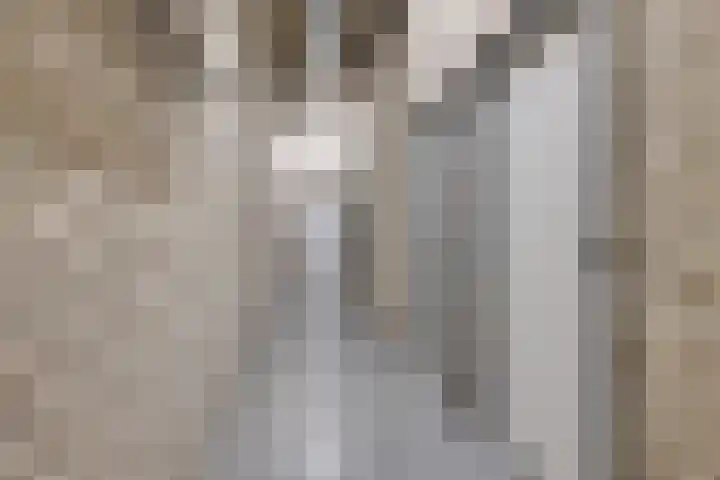 Hoofdweg 206 b Paterswolde thumbnail 42