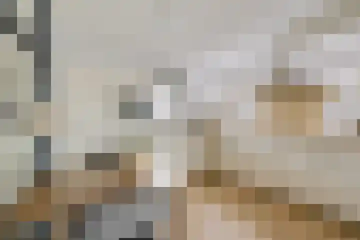 Hoofdweg 206 b Paterswolde thumbnail 9